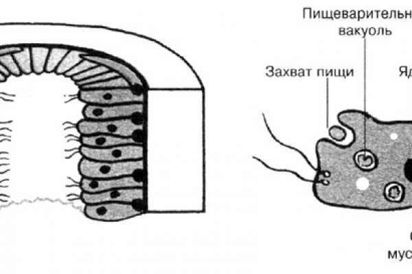 Омг зеркала тор